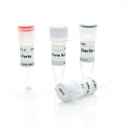 Enzynomics nPfu-Forte P410
