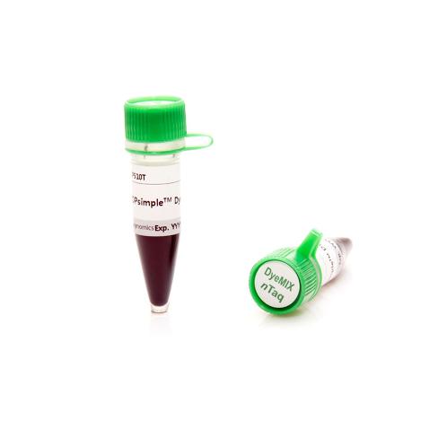 2XTOPsimple™ DyeMIX-nTaq