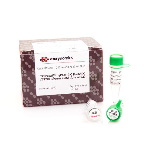 TOPreal™ qPCR 2X PreMIX (SYBR Green with low ROX)